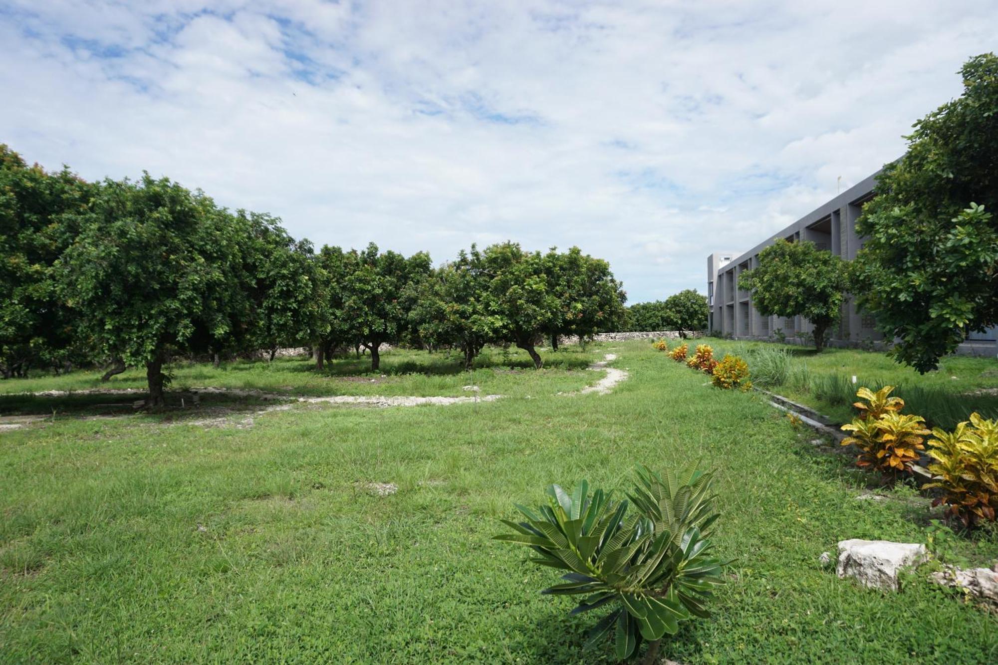 ויינגפו Kambaniru Beach Hotel And Resort מראה חיצוני תמונה